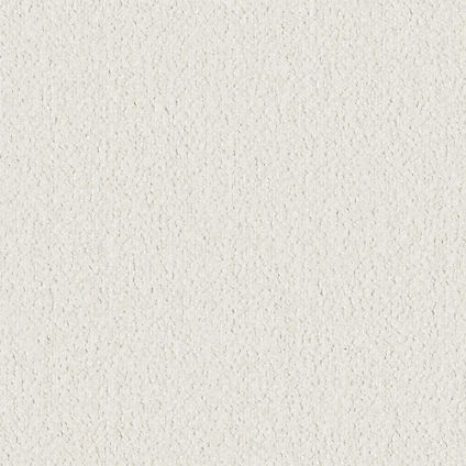 Zoom Alpine Fabric in Ivory