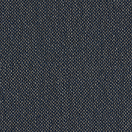 Zoom Thrive Fabric in Navy