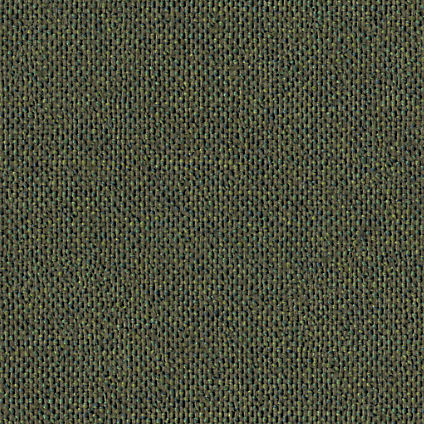 Zoom Thrive Fabric in Olive