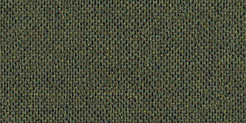 Zoom Thrive Fabric in Olive