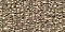 Belden Hickory