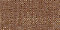 Brussels Chestnut