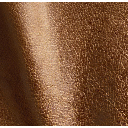 Zoom Chester Leather in Sycamore