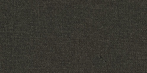 Zoom Poolside Fabric in Charcoal