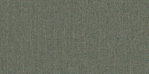 Zoom Sunbrella Cast Fabric in Sage