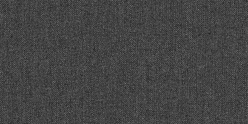 Zoom Sunbrella Cast Fabric in Charcoal