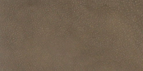 Zoom Chamois Leather in Stone