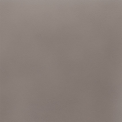 Zoom Lowe Leather Leather in Grey