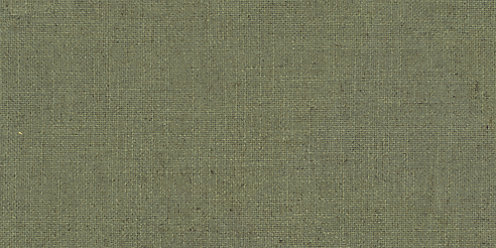 Zoom Linen Fabric in Sage