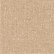 Winsome Camel