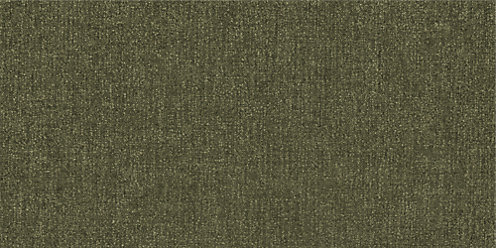 Zoom Winsome Fabric in Olive