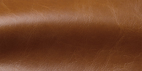 Zoom Libby Leather in Caramel