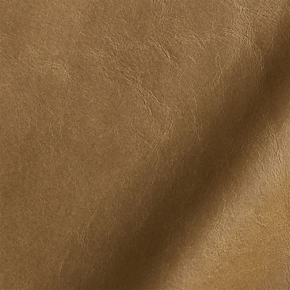 Zoom Arroyo Leather in Tan