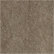 Covet Mushroom