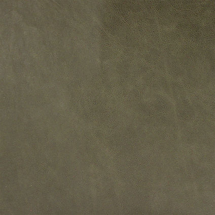 Zoom Gallo Leather in Forest