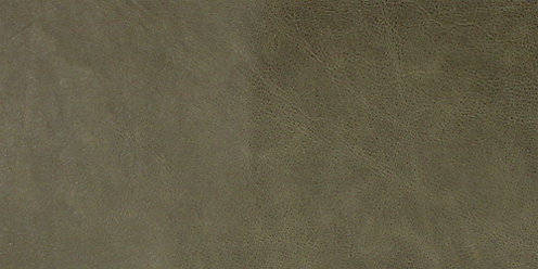 Zoom Gallo Leather in Forest