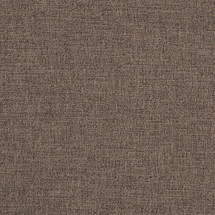 Zoom Ascend Fabric in Pinecone