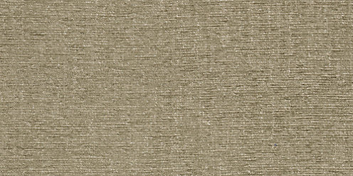 Zoom Oasis Fabric in Moss