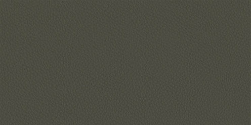 Zoom Renew Vegan Leather Leather in Shrub