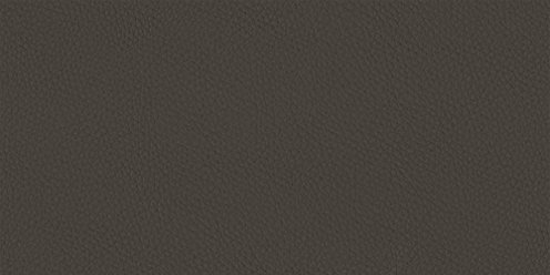 Zoom Renew Vegan Leather Leather in Iron