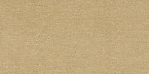 Zoom Pluma Fabric in Amber