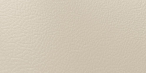 Zoom Riverstone Leather in Bone