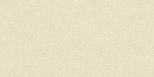 Zoom Riverstone Leather in Ivory