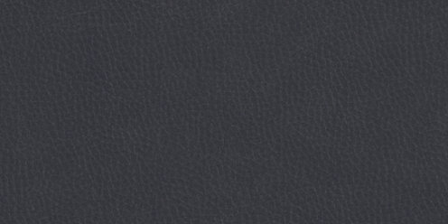 Zoom Riverstone Leather in Onyx