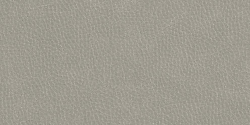 Zoom Riverstone Leather in Pewter