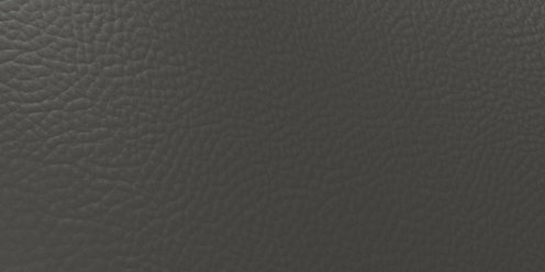 Zoom Riverstone Leather in Smoke