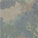 Covet Grove