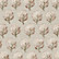 Botanica Lichen