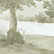 Jardin Mural Green