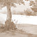 Jardin Mural Sepia