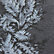 Fern Trellis Mist Blue Floral