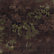 Delia Autumn Floral