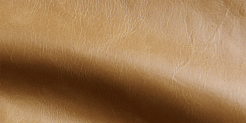 Zoom Libby Leather in Camel