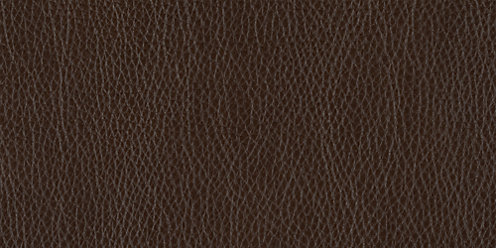 Zoom Laval Leather in Chestnut