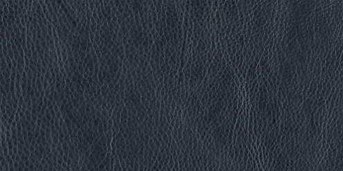 Zoom Laval Leather in Indigo