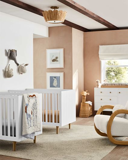 Twin Baby Shower Ideas