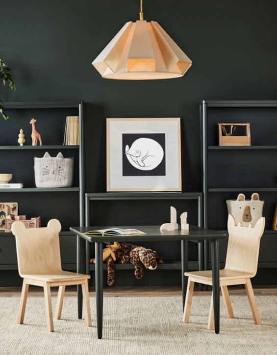 Best Baby, Toddler & Kids Furniture Store Crate & Kids