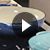 Play Le Creuset  ® Meringue 3.5L/3.7-Qt. Braiser - video 2 of 2