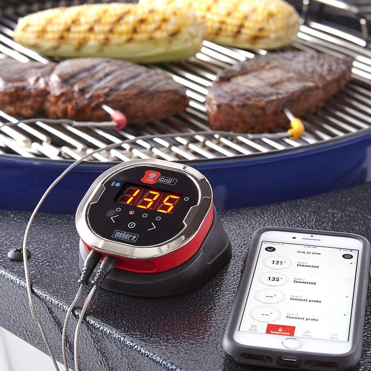 er iGrill 2 Instant Digital Smart Thermometer + Reviews Crate & Barrel