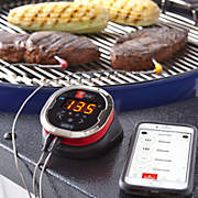 https://cb.scene7.com/is/image/Crate/iGrill2ThermometerSHS18/$web_recently_viewed_item_xs$/220913134850/weber-igrill-2-thermometer.jpg