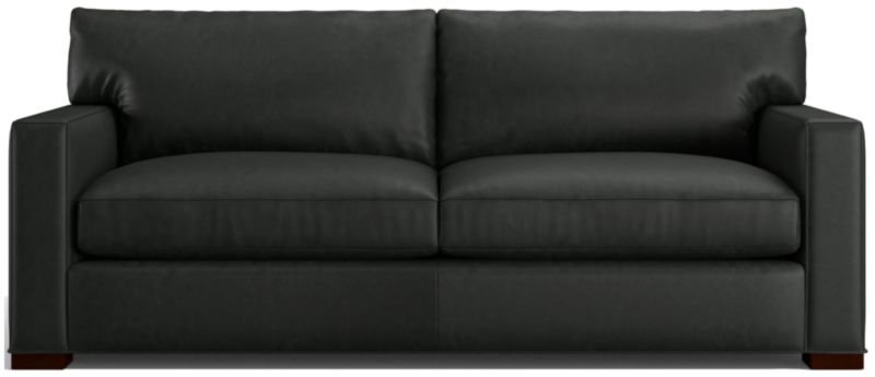 Axis Leather 2-Seat Queen Sleeper Sofa - image 0 of 6