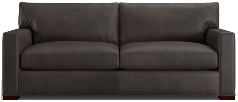 Axis Leather 2-Seat Queen Sleeper Sofa - image 0 of 6