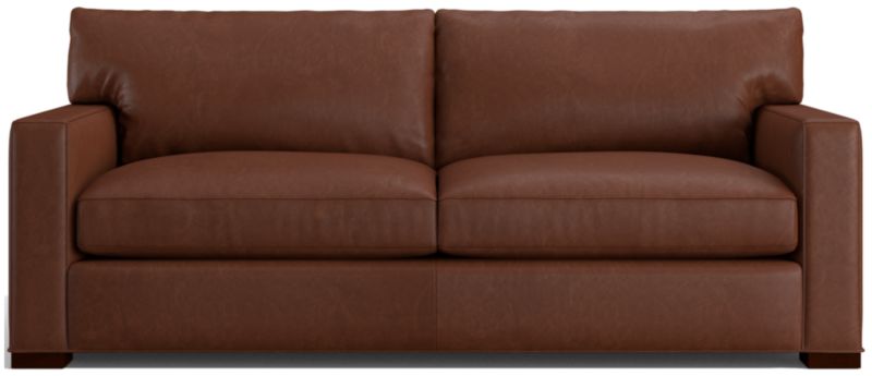 Axis Leather 2-Seat Queen Sleeper Sofa - image 0 of 6