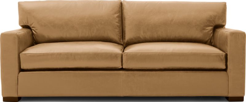 Axis Leather 2-Seat Queen Sleeper Sofa - image 0 of 6