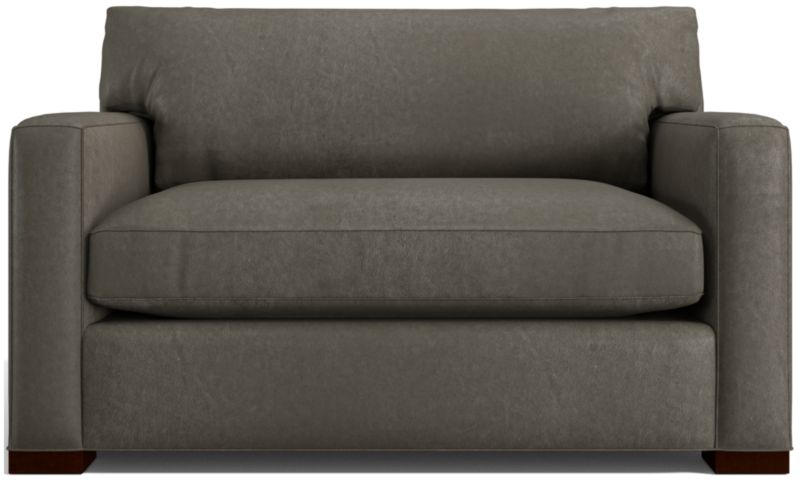 Axis Leather Twin Sleeper Sofa - image 0 of 7