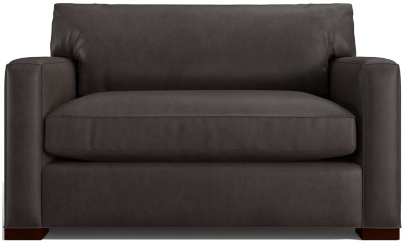 Axis Leather Twin Sleeper Sofa - image 0 of 7